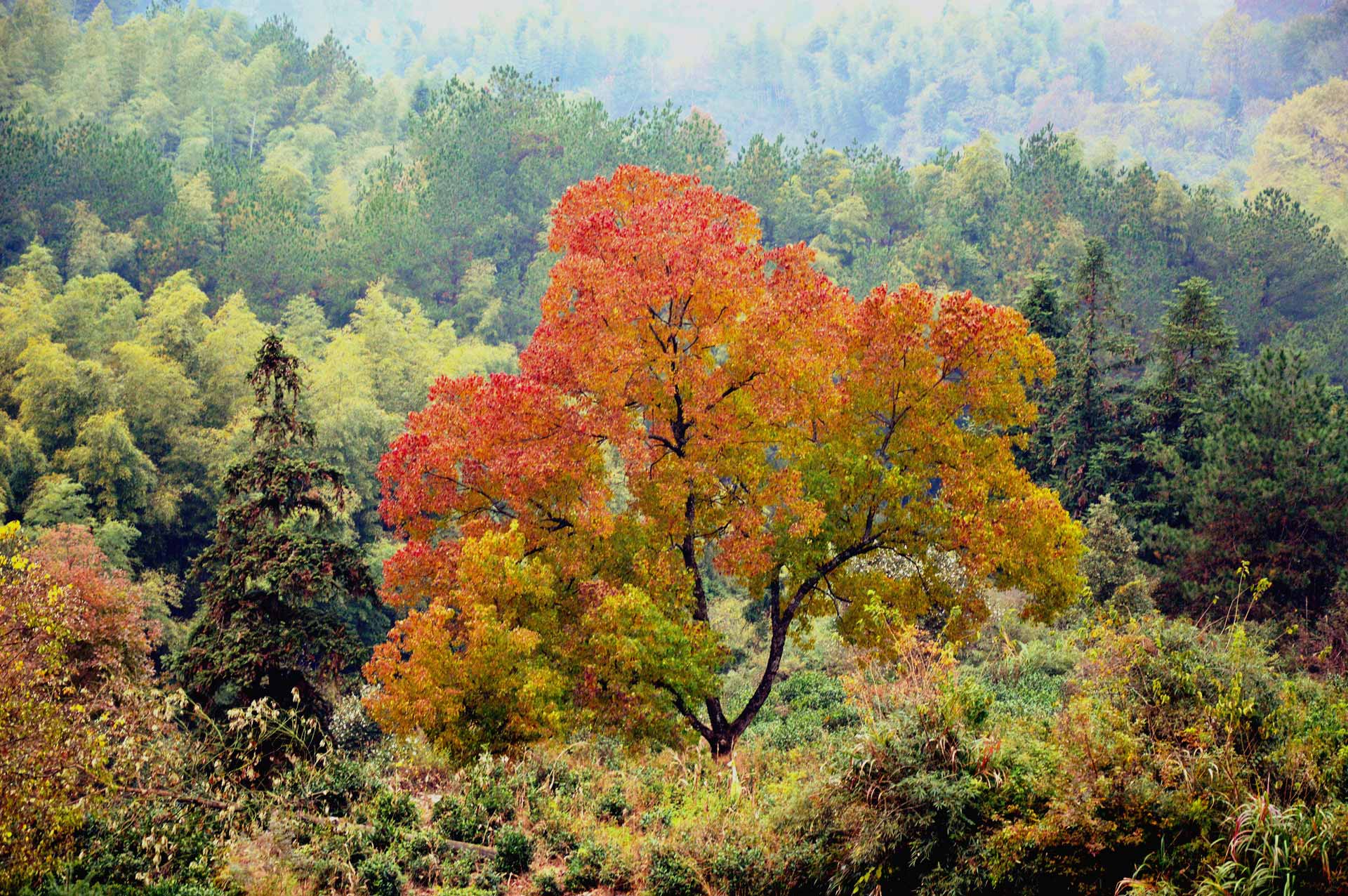 DSC_1122_.jpg