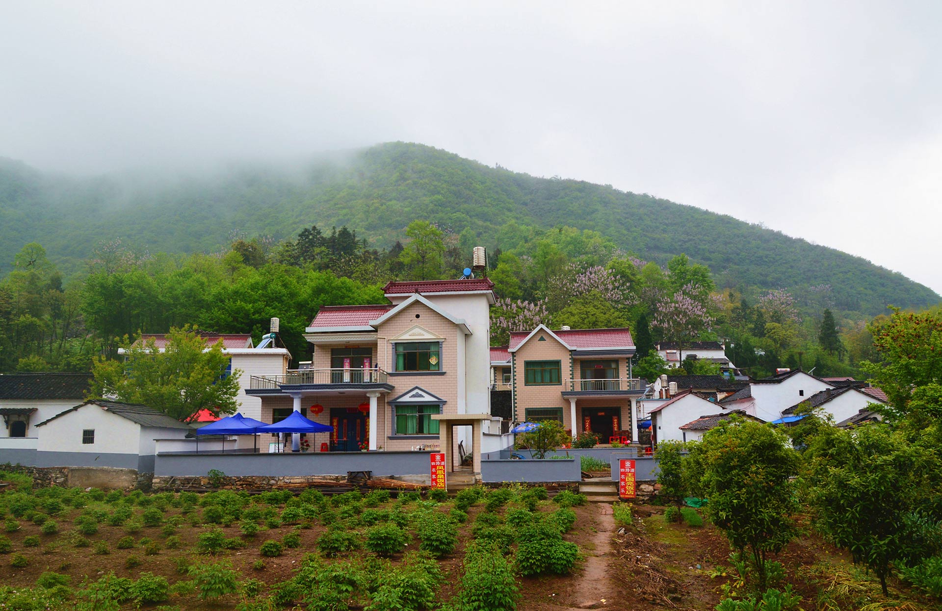 DSC_0167.JPG