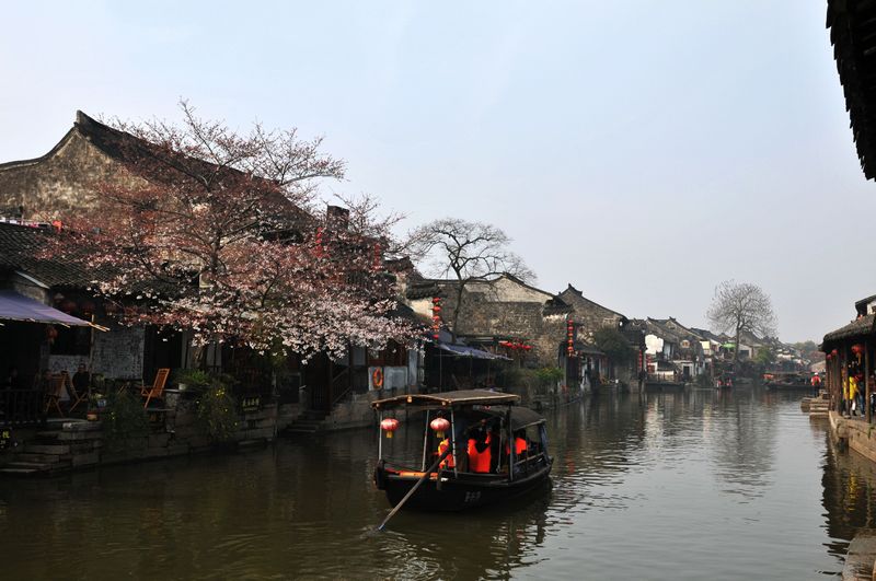 DSC_2187A.jpg