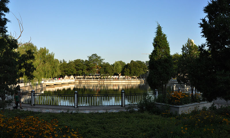 DSC_0390.JPG