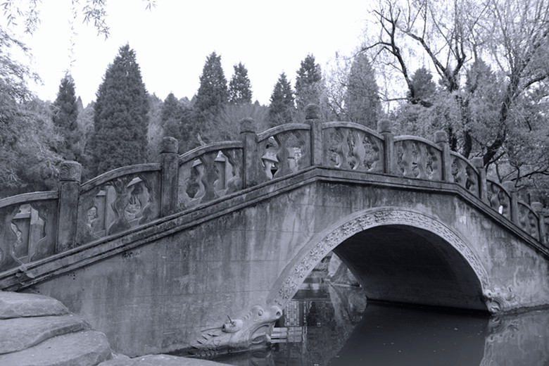 DSC_0445_副本.jpg
