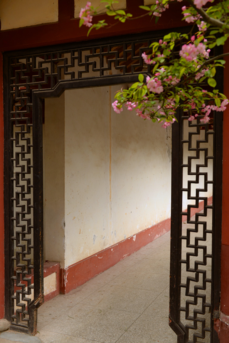 DSC_0541_副本.jpg