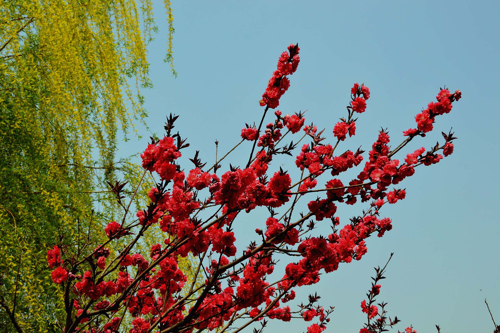 DSC_0693.JPG