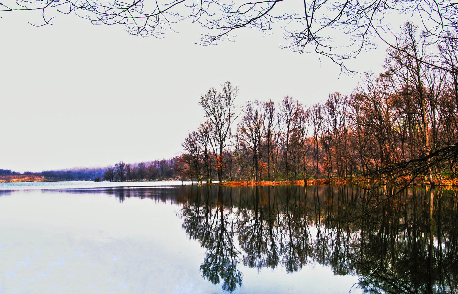 _DSC0113.jpg
