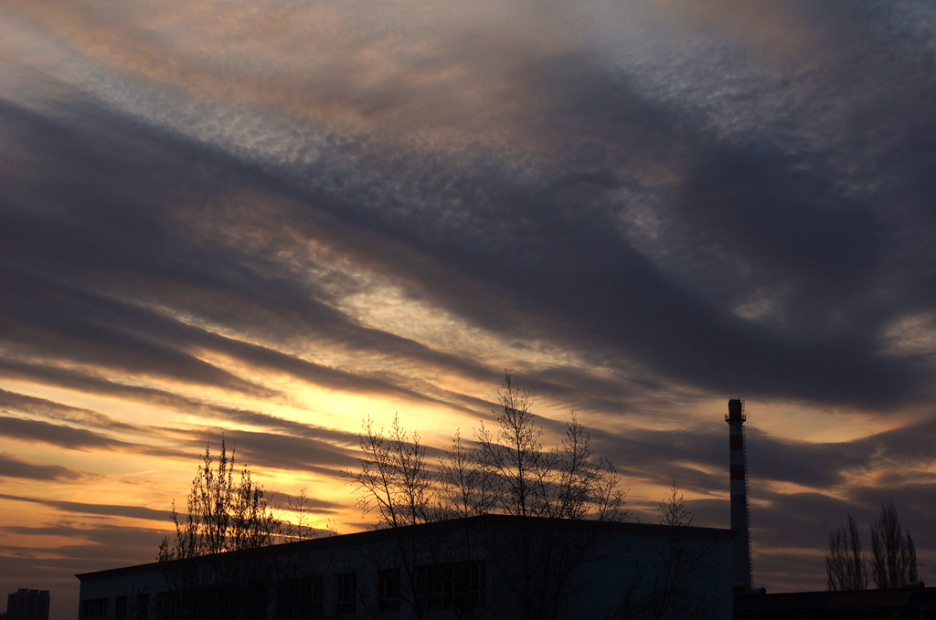 DSC01966_副本.jpg