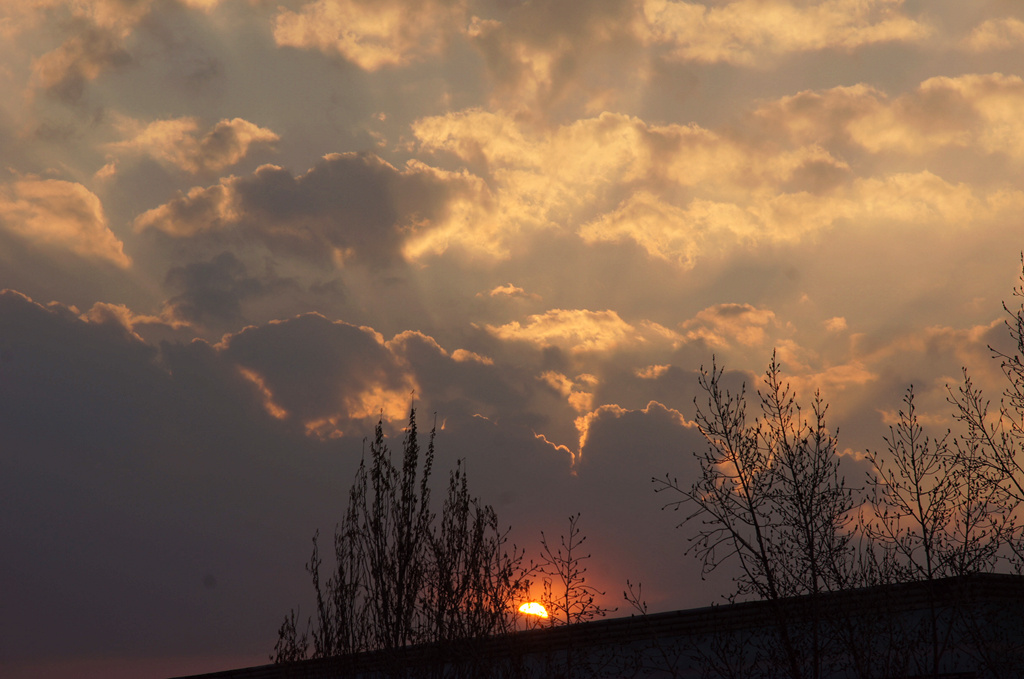 DSC01982_副本.jpg