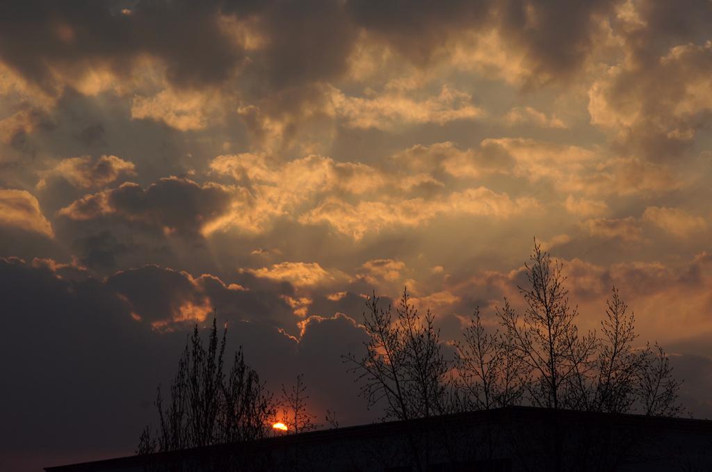 DSC01983_副本.jpg