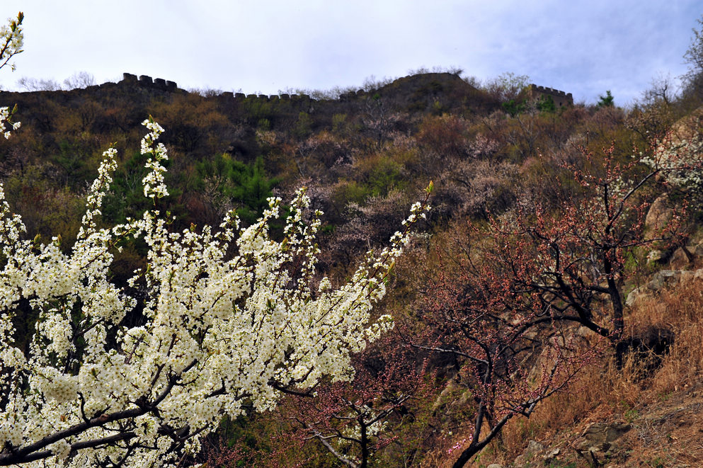 DSC_9601.jpg
