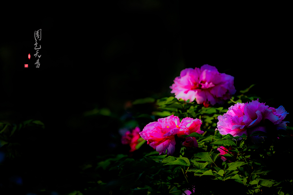 4Z6A0531-.jpg