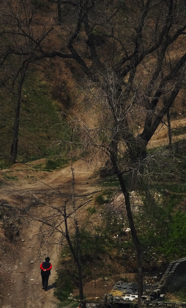 DSCF5563.JPG