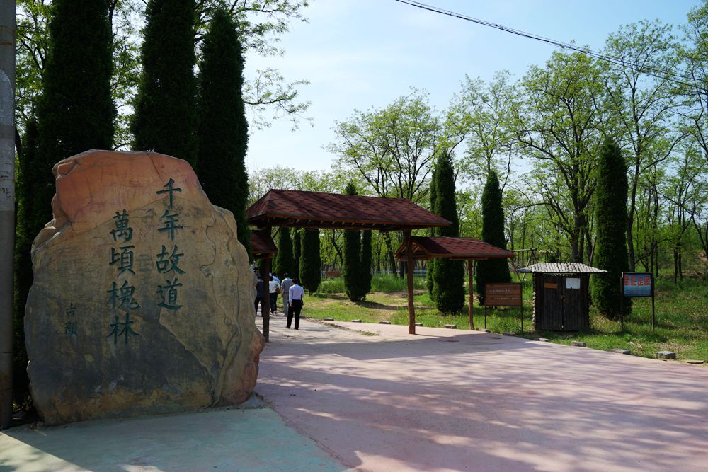 DSC03600_副本.jpg