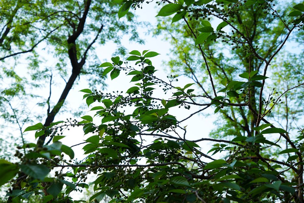 DSC04040_副本.jpg