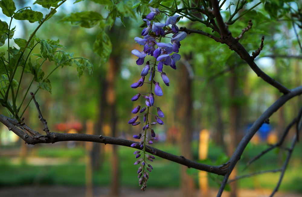DSC04041_副本.jpg