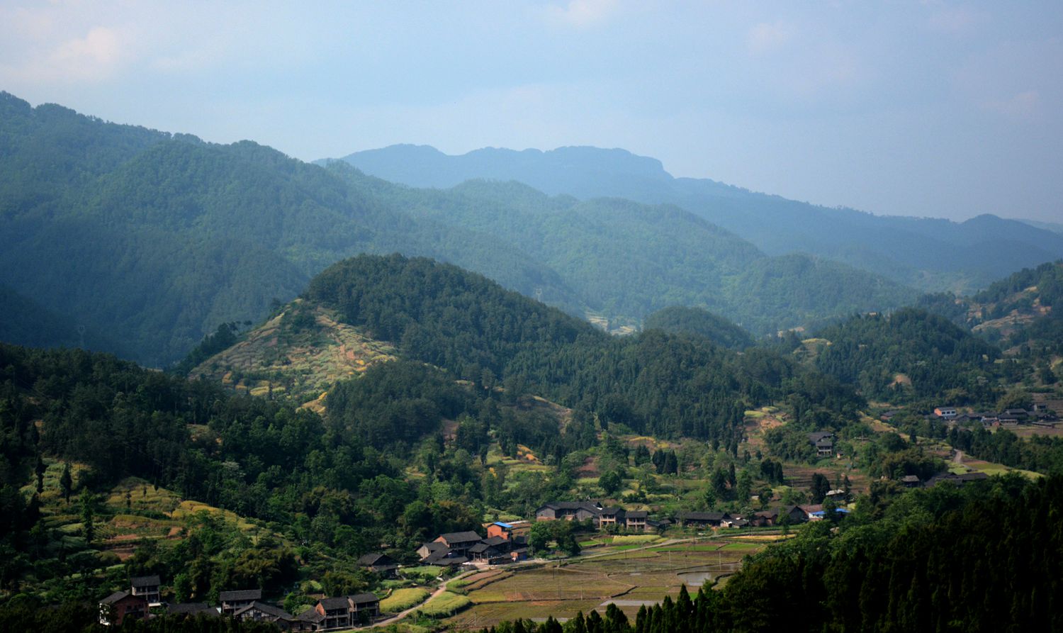 DSC_1772_副本.jpg