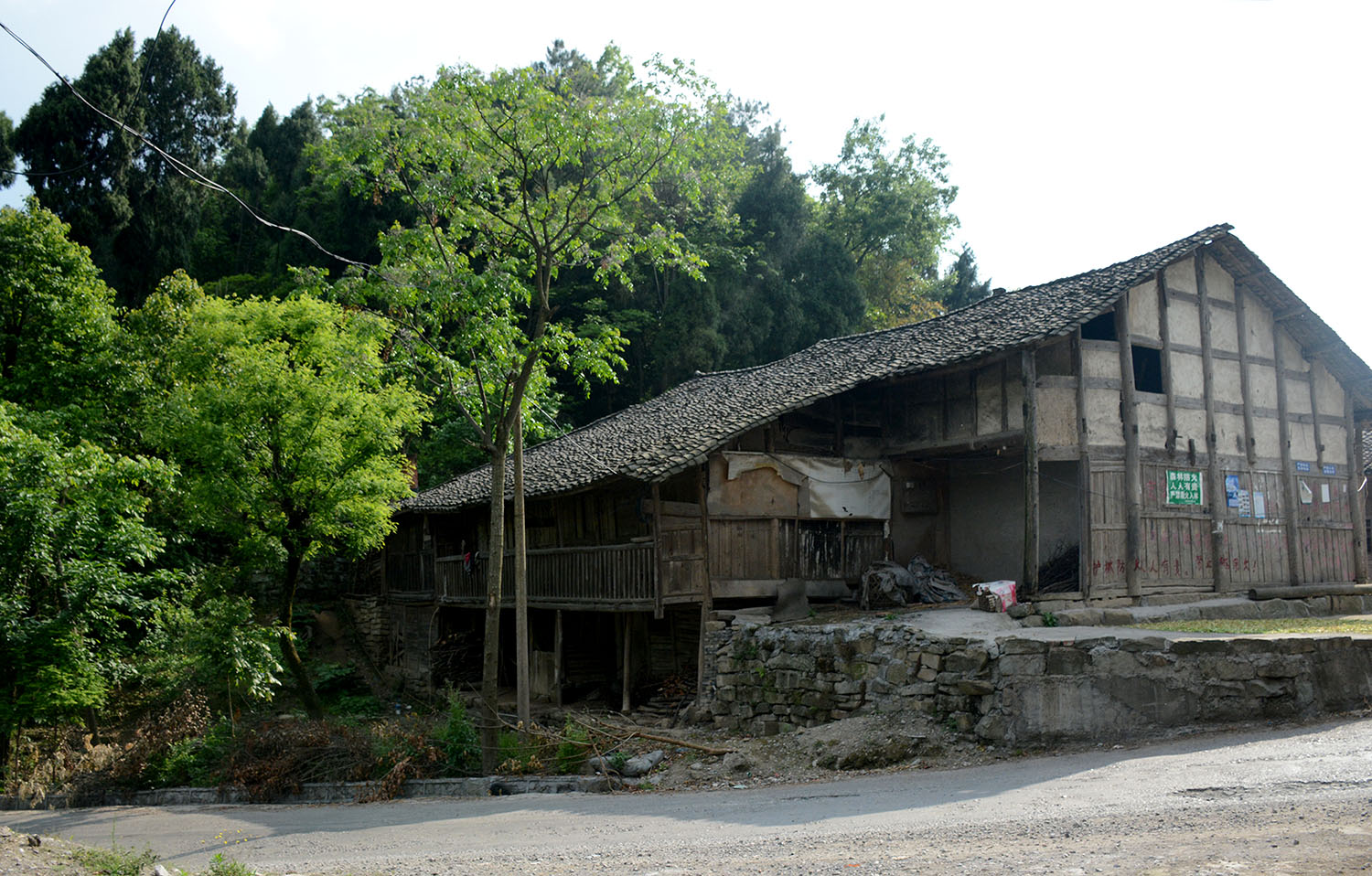 DSC_1777.jpg