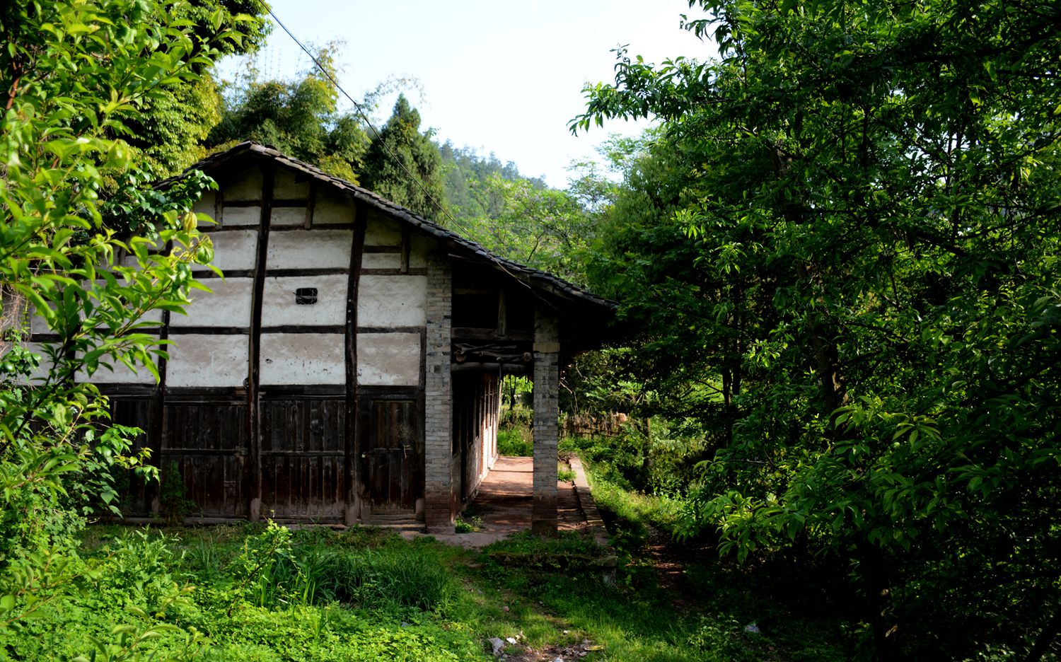 DSC_1802_副本.jpg