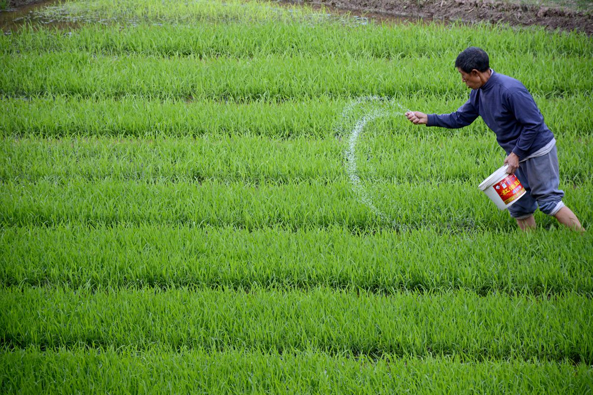 DSC_1835_副本.jpg