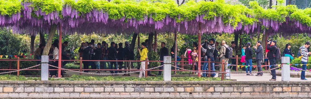 20150424-_MG_9392_副本.jpg