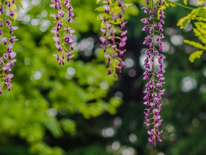 20150424-_MG_9364_副本.jpg