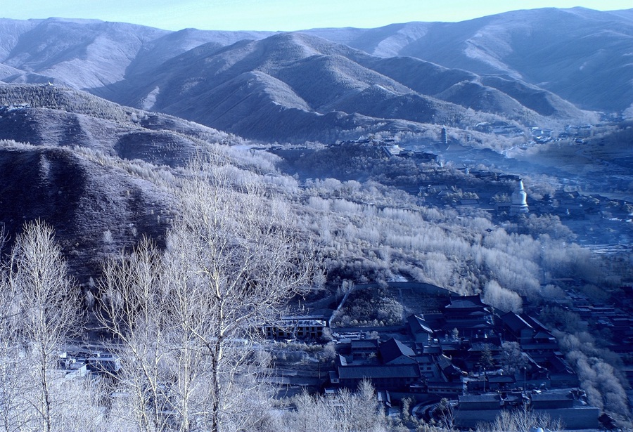 B03.JPG