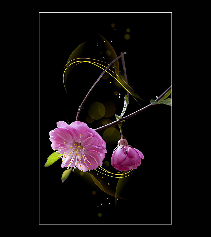 20130513104818324..jpg