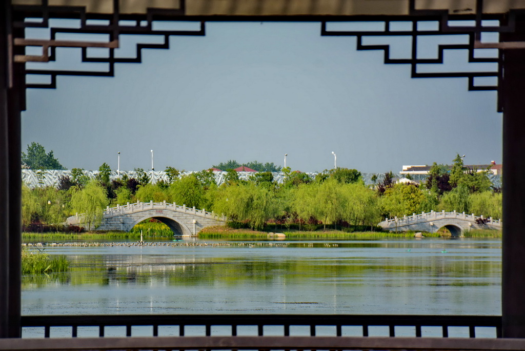 DSC_7923.jpg