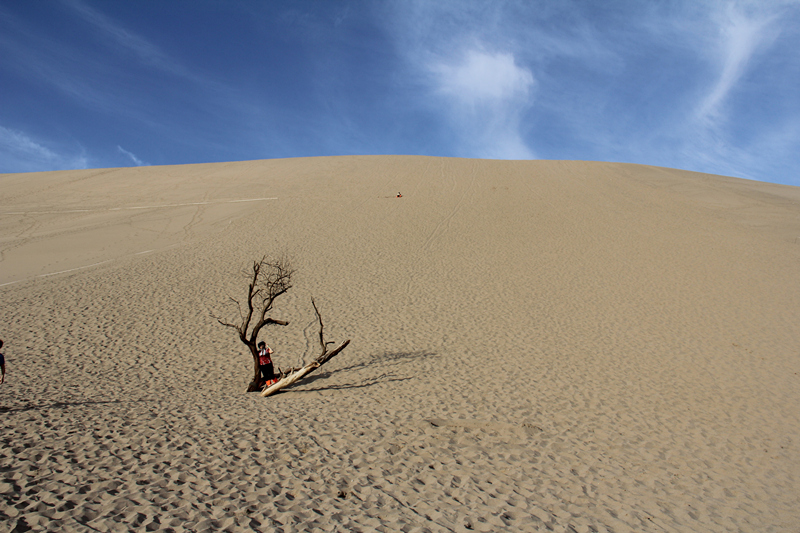 IMG_5733_副本.jpg