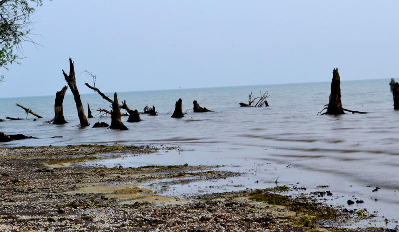 _DSC0409.jpg