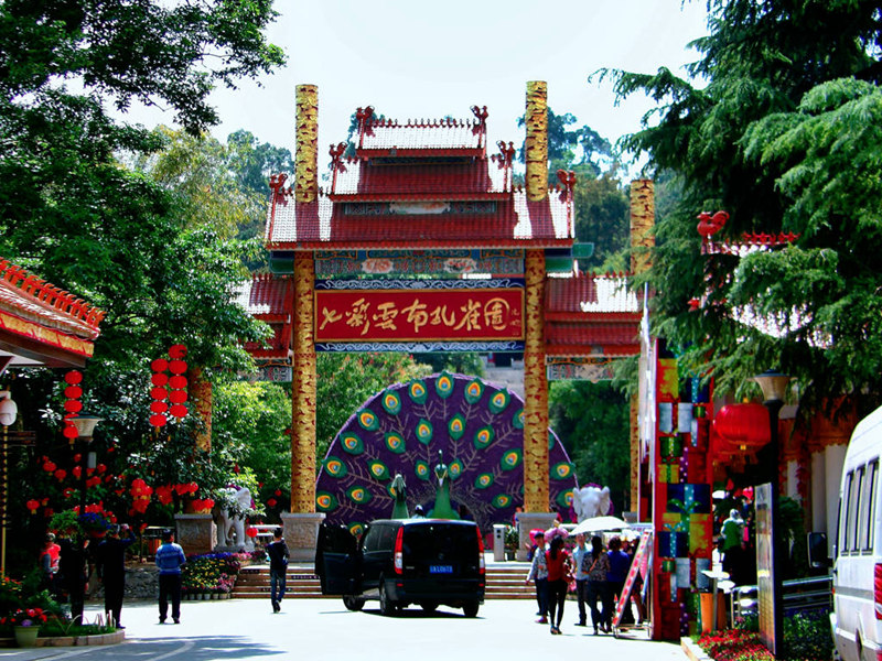 10《孔雀园》.JPG