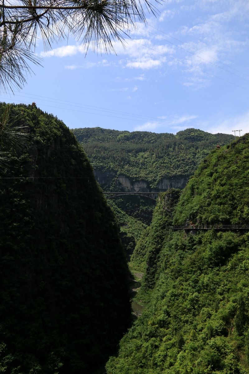 IMG_1022_副本.jpg