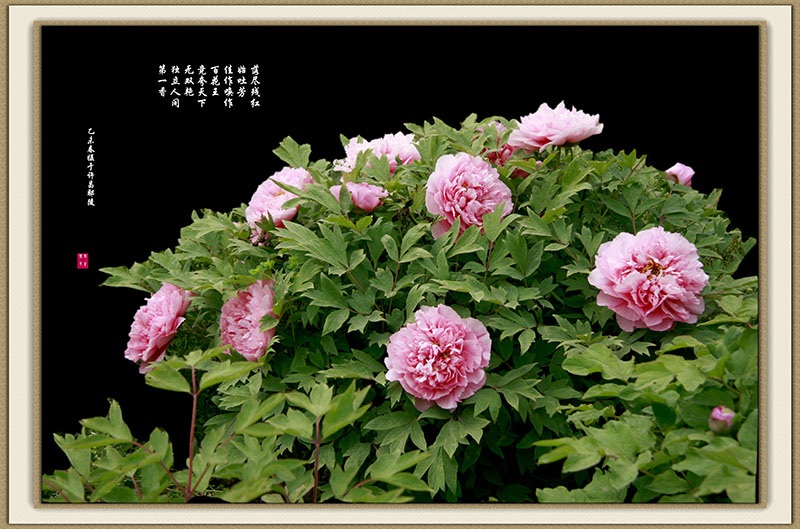 _MG_3455160.jpg