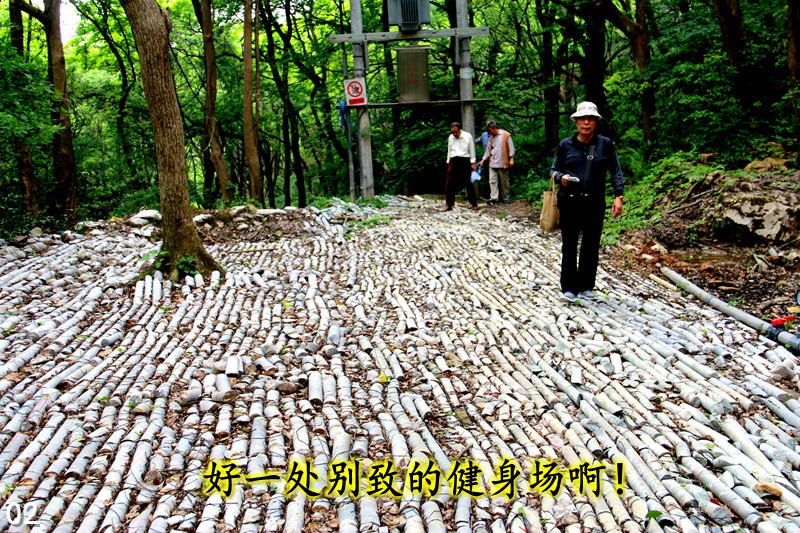 IMG_3860_ 02  好一处别致的健身场啊！_副本.jpg