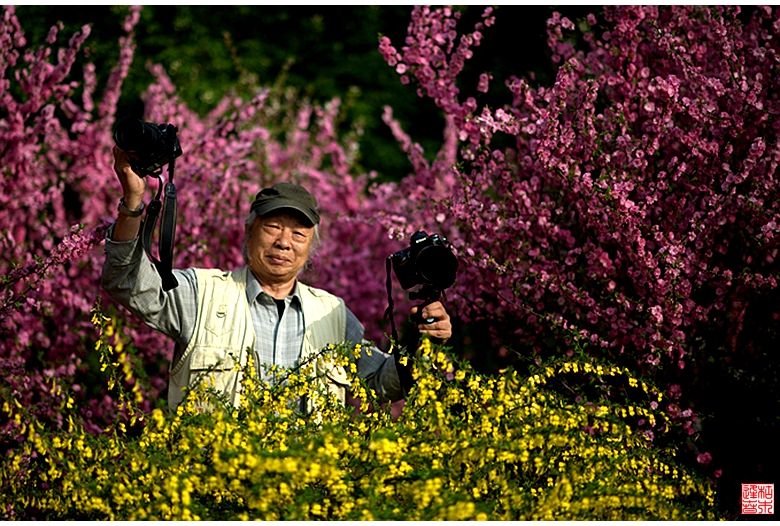 DSC_9062_副本.枯木在花丛中.jpg