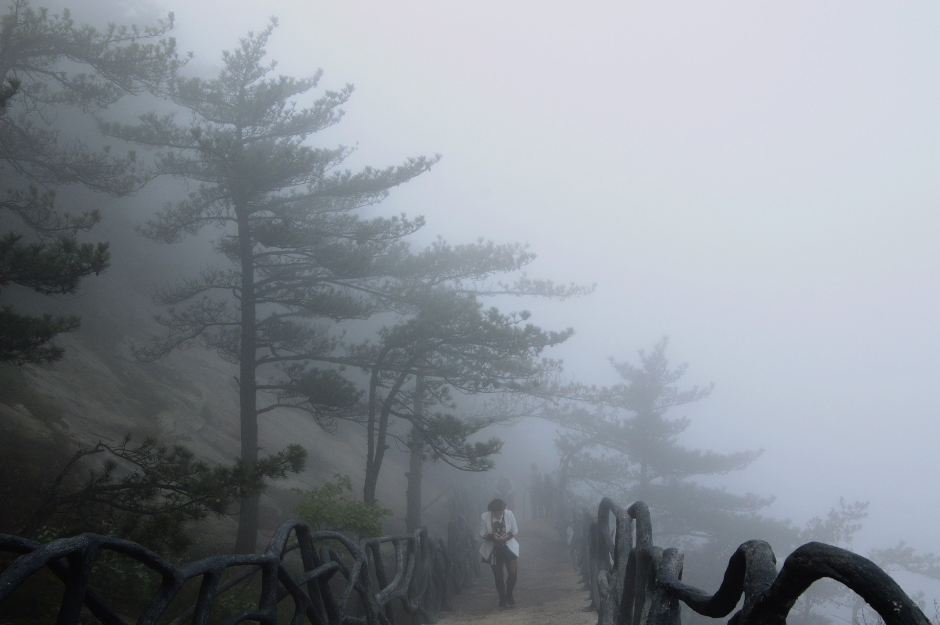 DSC_0052.JPG