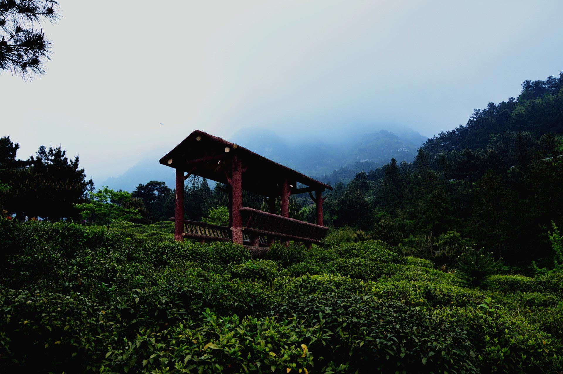 DSC_0017.JPG