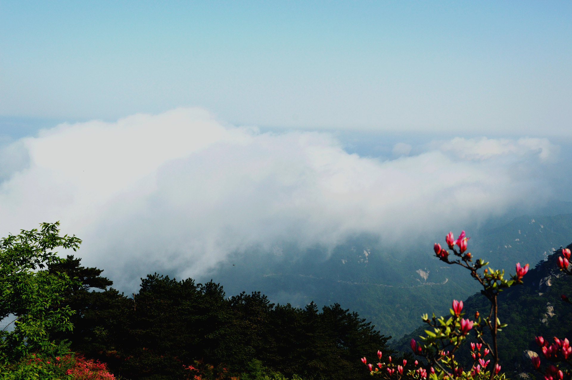 DSC_0165.JPG