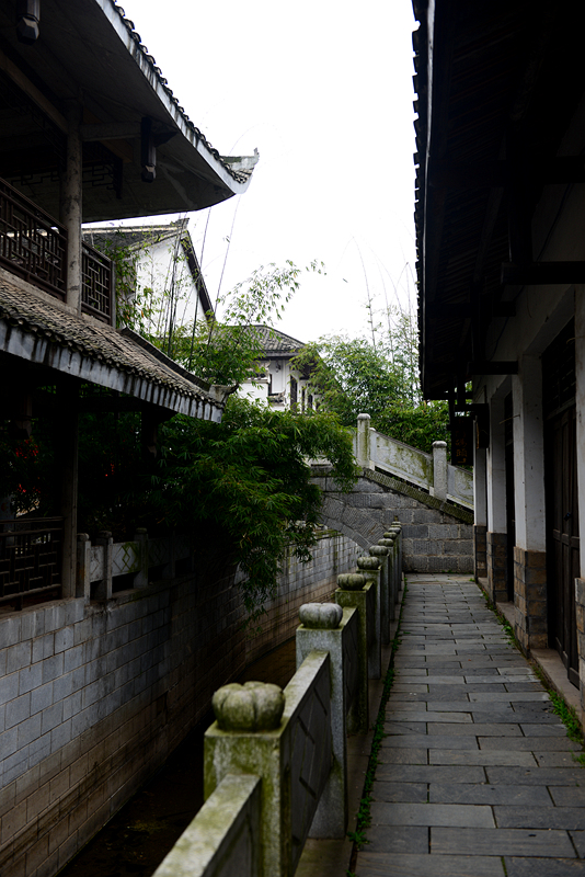 DSC_0119_副本.jpg
