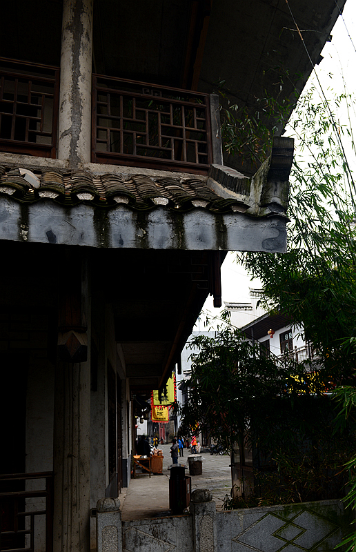 DSC_0120_副本.jpg