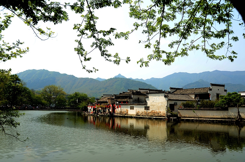 DSC_3639_副本.jpg