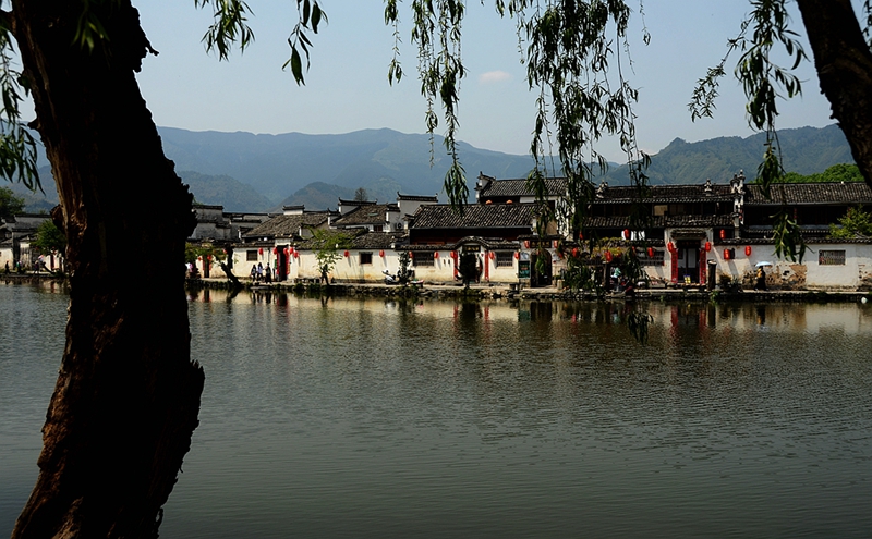 DSC_3666_副本.jpg