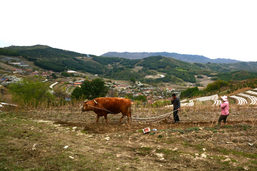 DSC_5029_副本.jpg
