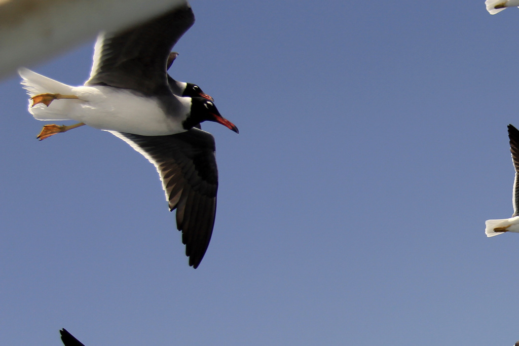 IMG_6275.JPG