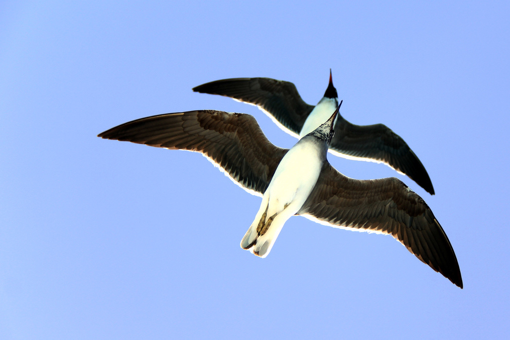 IMG_6398.JPG