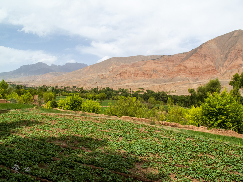 IMG_3685_01_副本.jpg