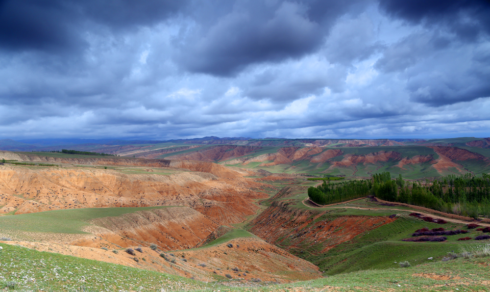 EOS 6D_4680.jpg