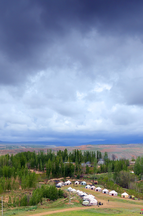 EOS 6D_4678.jpg