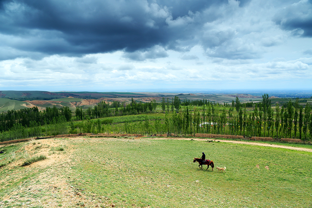 EOS 6D_4682.jpg