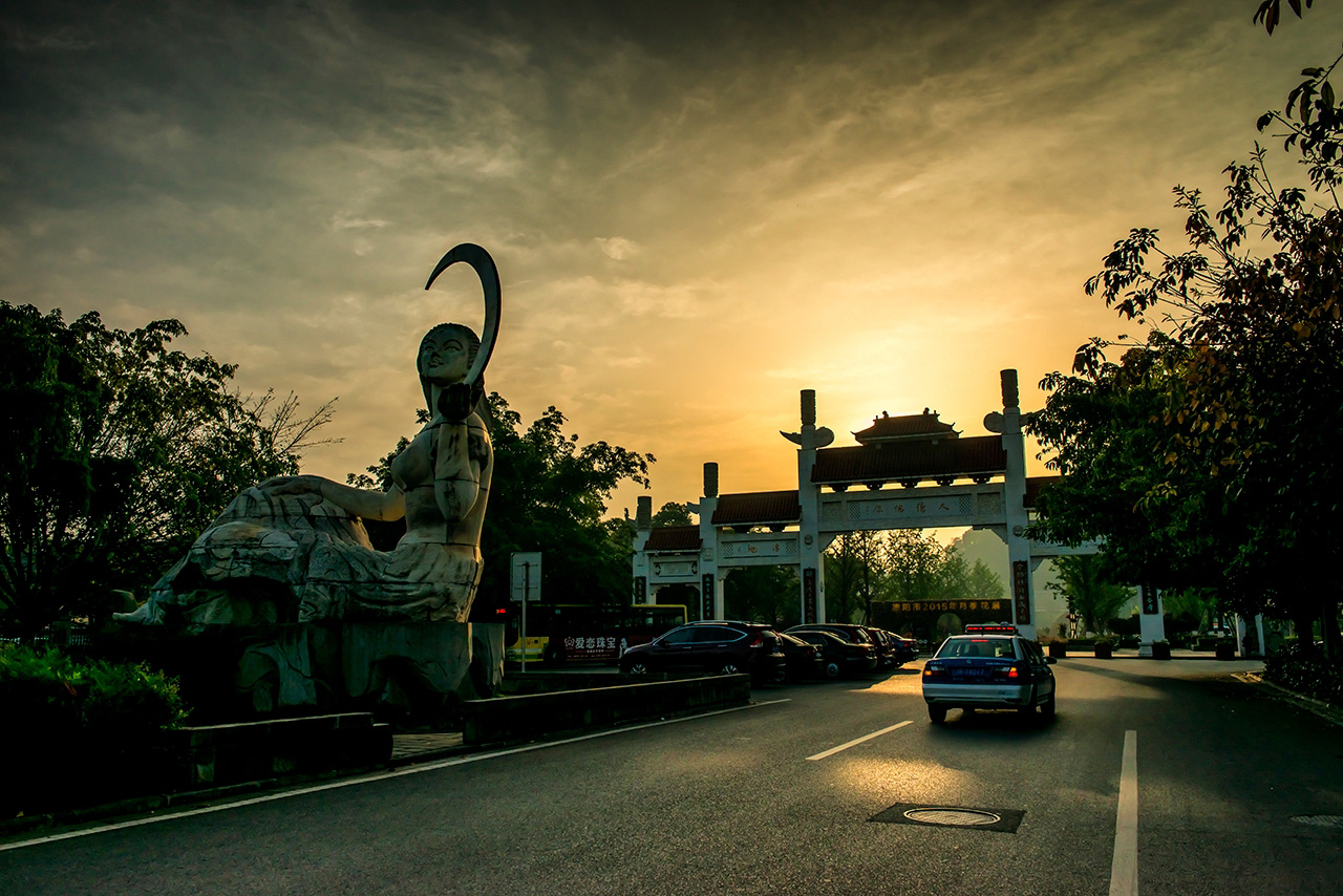 “D8A_0009.jpg