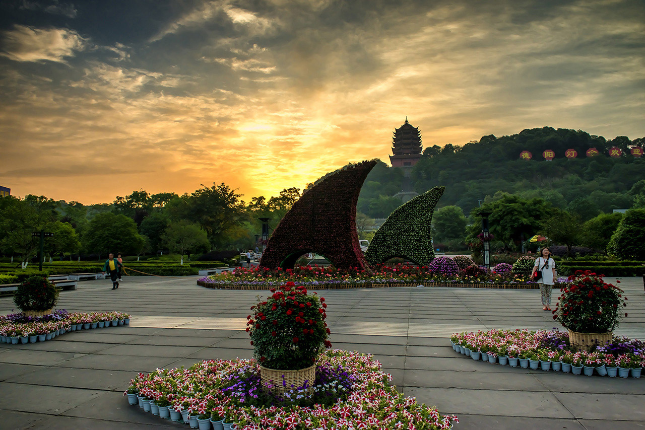 “D8A_0008.jpg