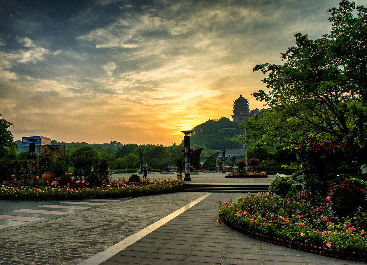 “D8A_0006.jpg